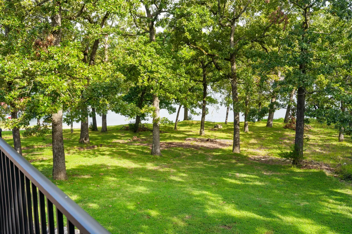 A peaceful outdoor scene with tall trees, lush green grass, and a river stretching out in the background. The setting invites leisurely walks and offers plenty of space for playful activities, both for pets and people. The gentle landscape and natural environment make it ideal for enjoying the outdoors with your dog.