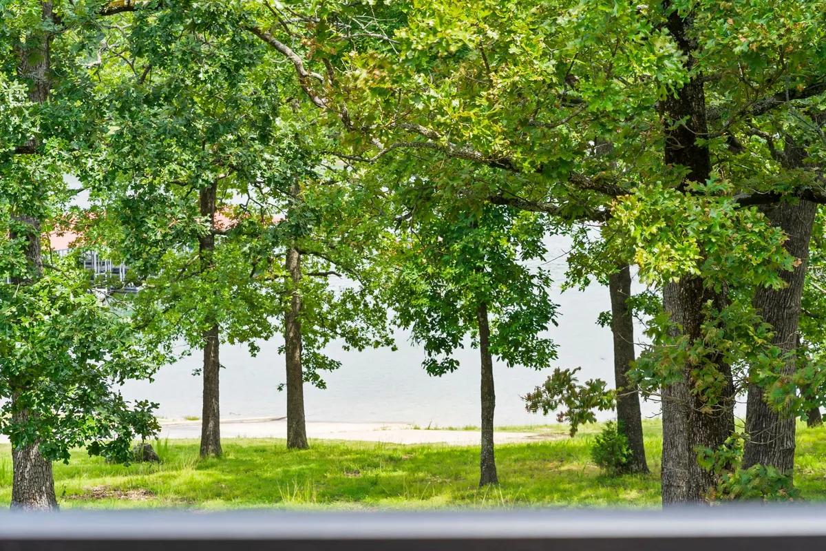A scenic view of lush green trees framing glimmering water and a sandy shore. The area exudes tranquility, perfect for nature walks, lakeside relaxation, and exploring nature trails with your four-legged companion.